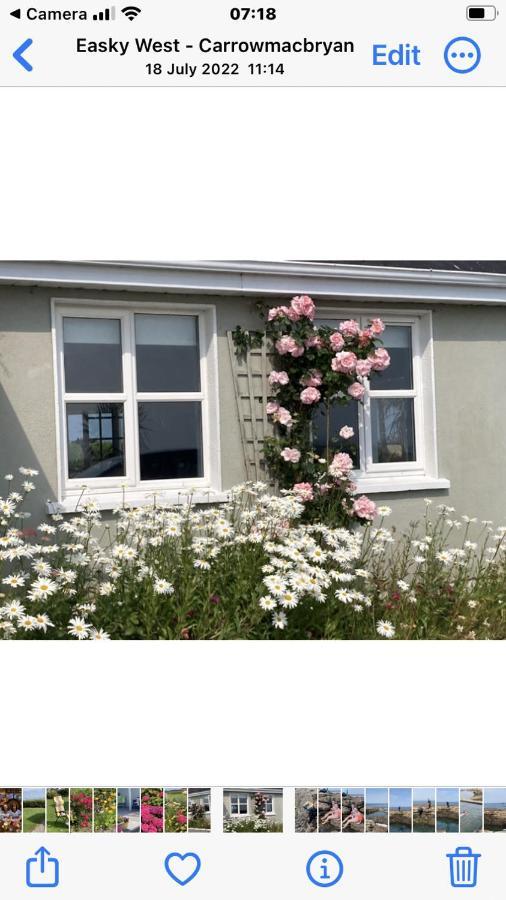 Wild Atlantic View Bed & Breakfast Слайгоу Екстериор снимка