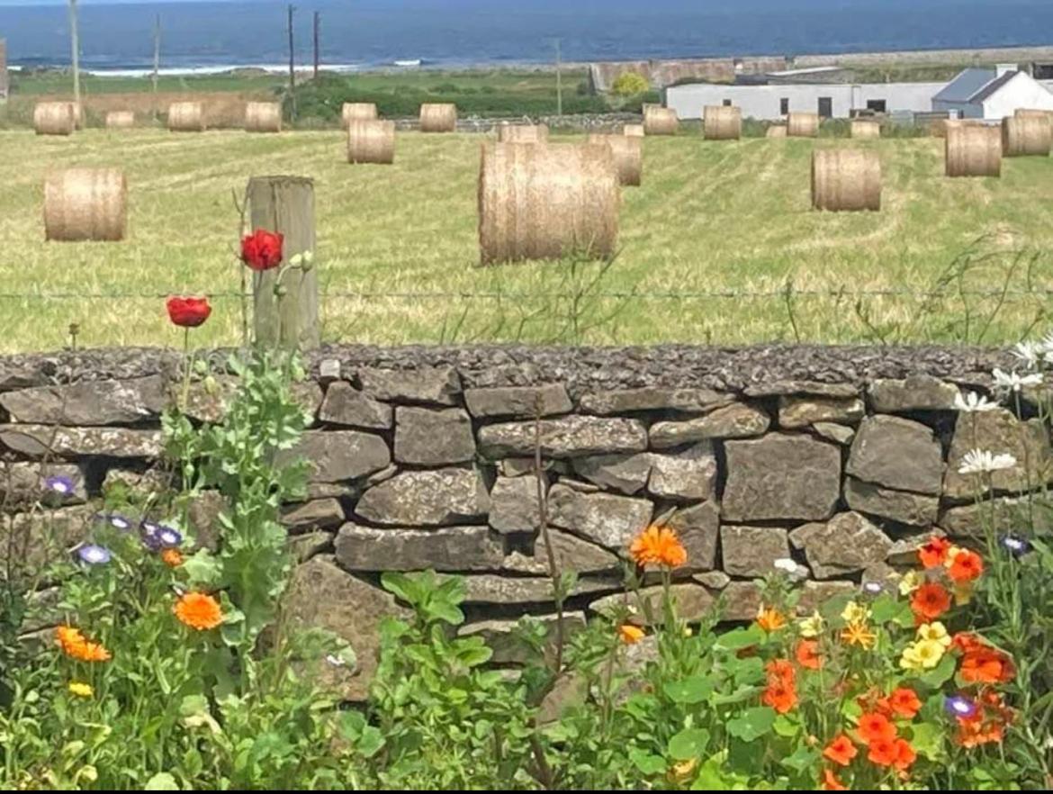 Wild Atlantic View Bed & Breakfast Слайгоу Екстериор снимка